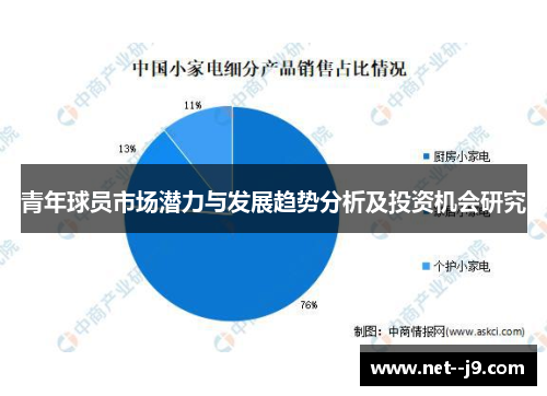 青年球员市场潜力与发展趋势分析及投资机会研究
